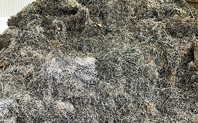 鋼ダライ粉の写真２