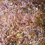 銅ダライ粉の写真１