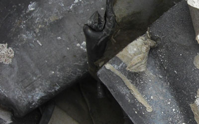 なまりの写真３