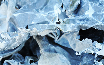 なまりの写真２